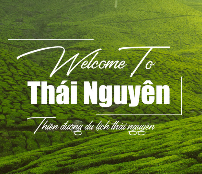 FESTIVAL TRÀ THÁI NGUYÊN 10/2026 - XE SƠN PHƯƠNG